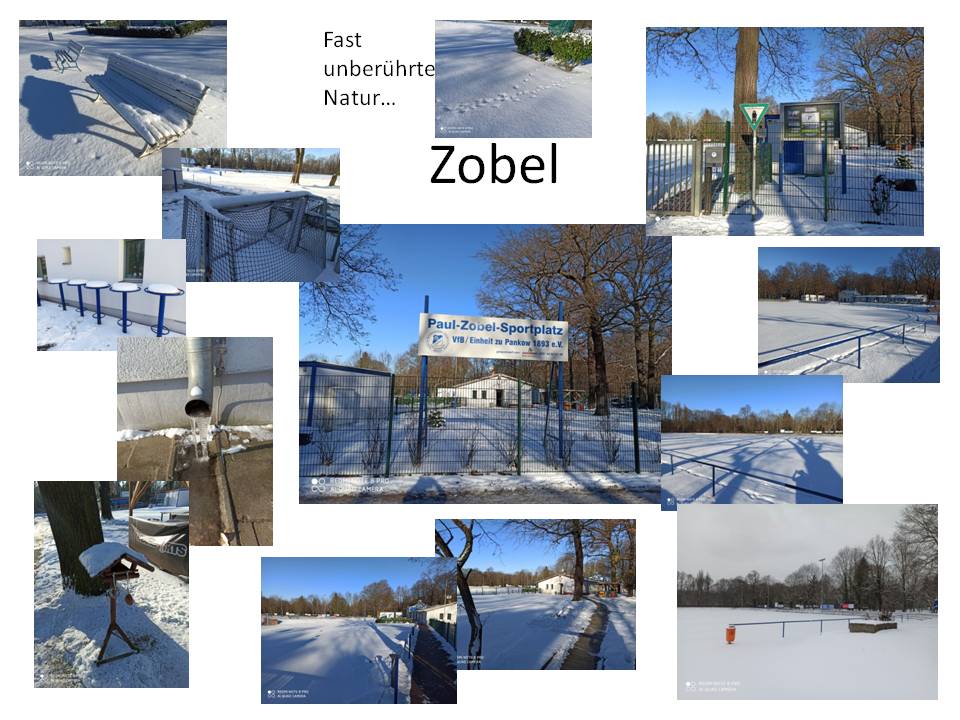 Winter 2021 Zobel.jpg